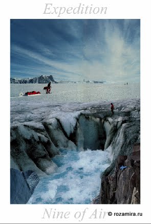 Nature Tarot by Jan Strube